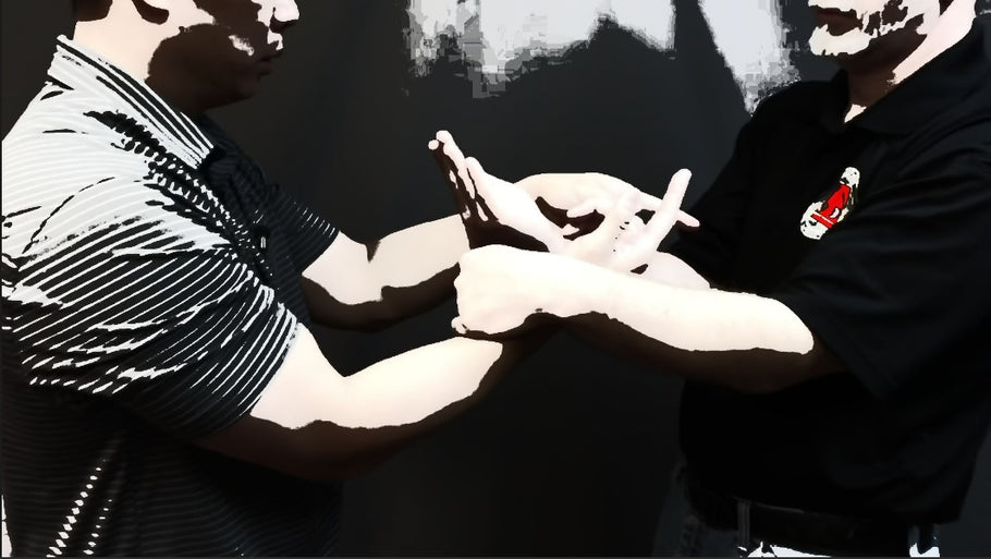Is Chi Sao The Most Important Drill In Wing Chun Kung-Fu?